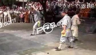 少林无遮视频,揭秘古老武林的传奇风采