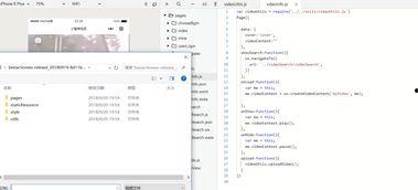 视频传输程序,高效便捷的远程互动解决方案